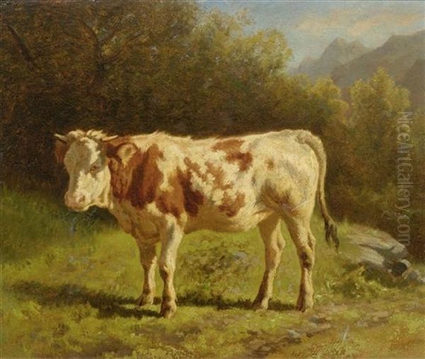Kuh Auf Der Weide - view 1