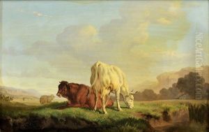 Deux Vaches Dans Un Pre Deux Vaches Dans Un Pre