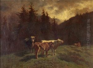 Kuhe Auf Der Weide Kuhe Auf Der Weide