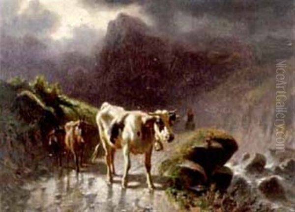 Rind Und Zwei Ziegen Aud Alpweg Nach Gewitter - view 1