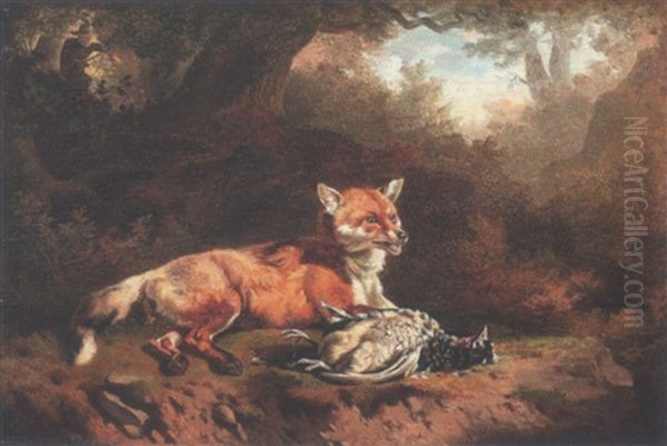 Fuchs Mit Totem Rebhuhn Am Waldrand - view 1