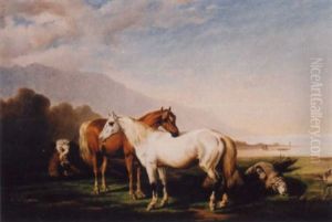 Landschaft Mit Pferden Und Schafen Landschaft Mit Pferden Und Schafen