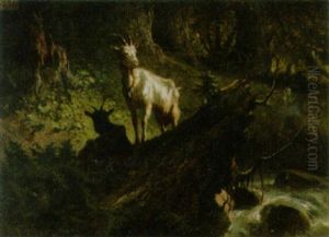 Wildes Waldstuck Mit Zwei Ziegen Wildes Waldstuck Mit Zwei Ziegen