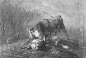 Stier, Von Wolfen Angegriffen Stier, Von Wolfen Angegriffen