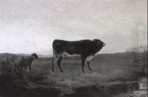 Stier Und Schaf Auf Der Weide Stier Und Schaf Auf Der Weide