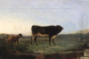 Stier Und Schaf Auf Der Weide Stier Und Schaf Auf Der Weide