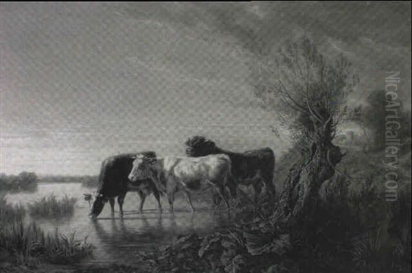 Stier Mit Zwei Kuhen Am Fluss - view 1