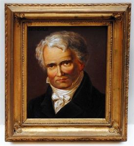 Portrait Of A Man