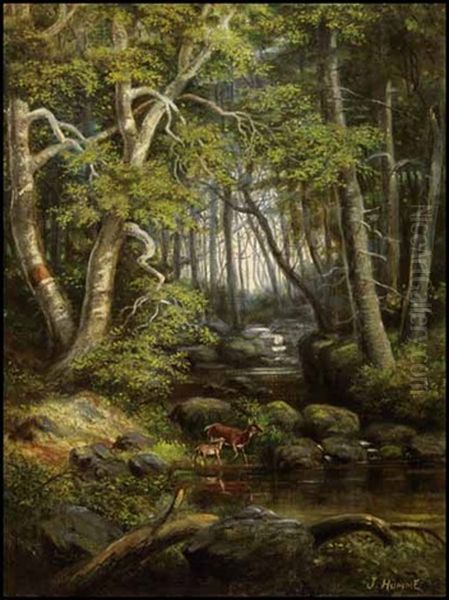 Landscape - view 1