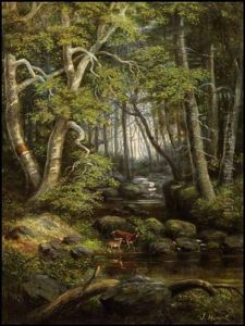 Landscape Landscape