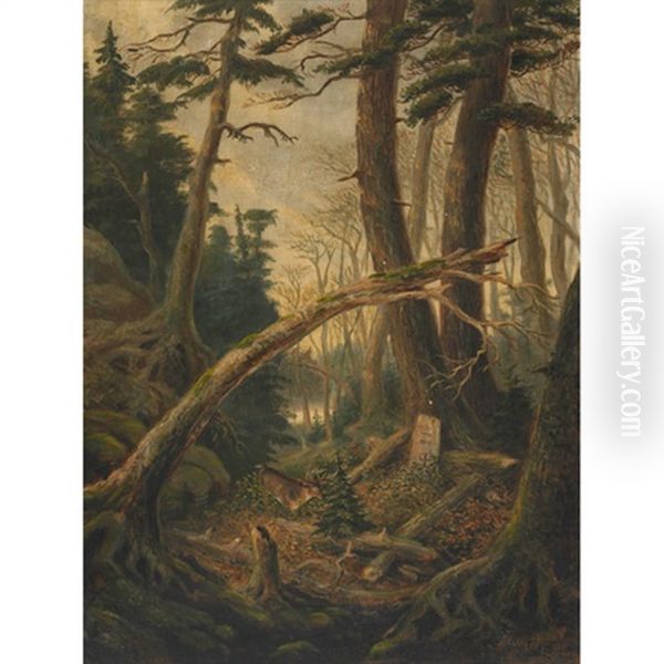 The Huntsman's Grave - view 1