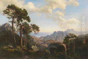 Aussicht Vom Col Di Sorba Bei Vivario Mit Pinien, Korsika