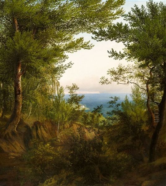 Landschaft Auf Rugen Mit Blick Auf Die Kreidefelsen Arkonas - view 1