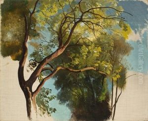 Tree Study From The Park Of Villa Carlotta by Carl Maria Nicolaus Hummel