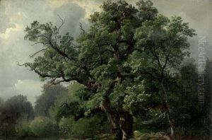 Knorrige Eiche Im Reinhardswald Bei Sababurg by Carl Maria Nicolaus Hummel