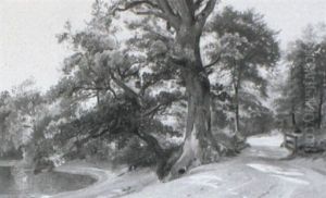 Waldstrase Bei Michaelstein