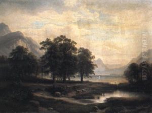 Kuhe In Bewaldeter Landschaft