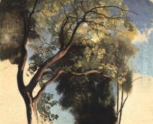 Waldlichtung Mit Sonnenlicht by Carl Maria Nicolaus Hummel