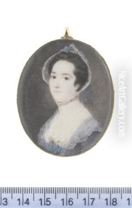 A Lady, Wearing Purple Dress, Her White Lace Fichu Secured At Her Corsage With Blue Ribbon And A Single Pink Rose by Ozias Humphry