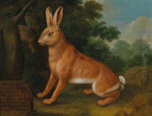 A Hare