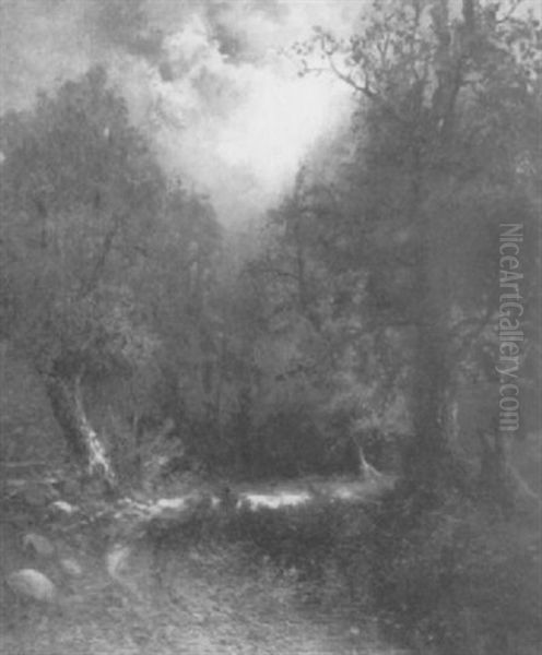 In The North Woods, Adirondacks - view 1