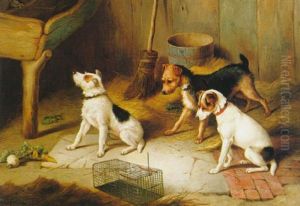 Escaped (+ In The Cage; Pair) Escaped (+ In The Cage; Pair)