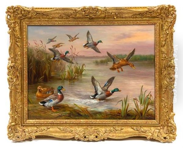 Ducks In Flight - view 1