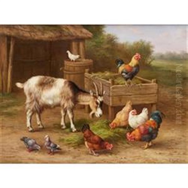 Chickens, Doves And Goats By A Water Butt - view 1