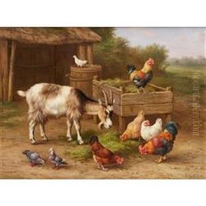 Chickens, Doves And Goats By A Water Butt