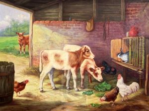 Calves And Poultry In A Stable