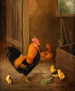 Family Of Chickens In A Barn