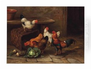 A Cockerel And Hens