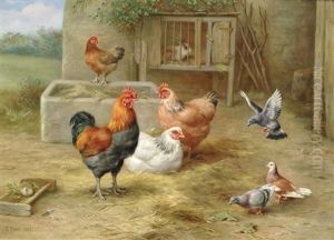 The Pecking Order by Edgar Hunt