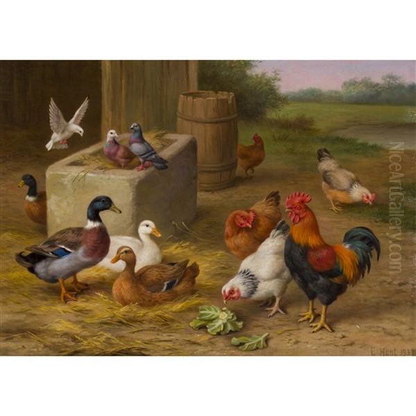 Hens, Pigeons And Duck In A Farmyard - view 1