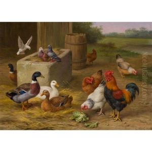 Hens, Pigeons And Duck In A Farmyard by Edgar Hunt