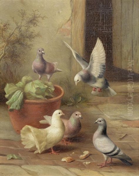 Farmyard Family; Feeding Time - view 1
