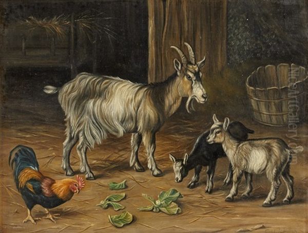 Chevres Et Poules - view 1