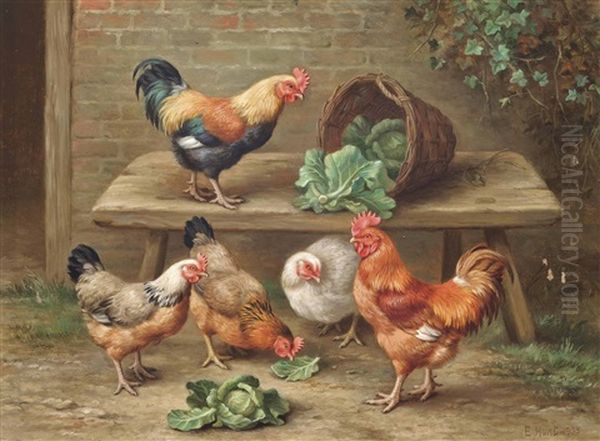 Cabbage Thieves - view 1