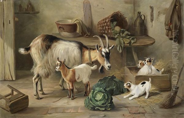 Puppies And Goats - view 1