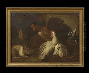 Chickens And Rabbits
