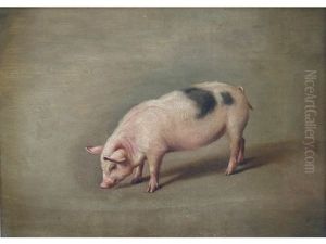 Piglet