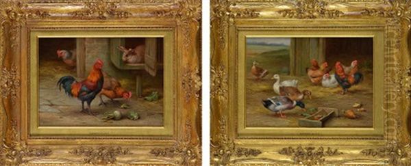 Farmyard Scenes With Poultry, Ducks And A Rabbit Hutch - view 1
