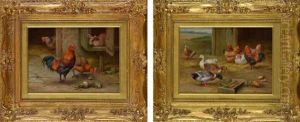Farmyard Scenes With Poultry, Ducks And A Rabbit Hutch by Edgar Hunt