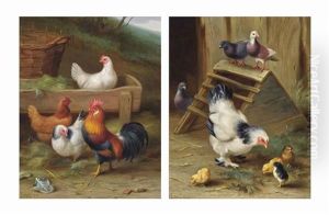 A Cockerel And His Hens (+ A Mother Hen And Her Chicks; 2 Works) by Edgar Hunt