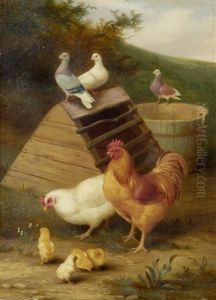 Hens, Chicks And Pigeons by Edgar Hunt