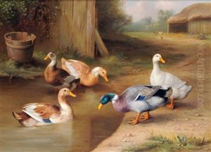 A Mallard And Ducks By A Pond
