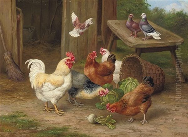 Chickens And Pigeons - view 1