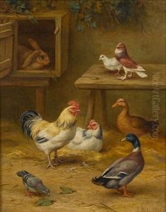 Chickens, Ducks, Pigeons And A Rabbit In A Yard by Edgar Hunt