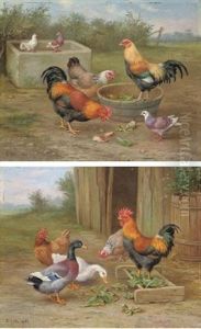 Chickens And Doves (+ Chickens And Ducks; 2 Works) by Edgar Hunt