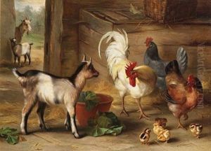 Goats, Chickens And Chicks In A Barn by Edgar Hunt